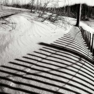 Dunes Fence III