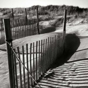 Dunes Fence IV