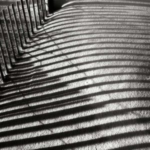 Dunes Fence V