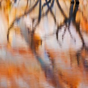 Lake Powell Reflections IV