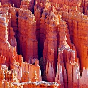 Hoodoos at Dawn