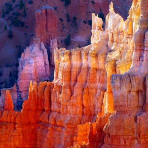 Bryce Canyon Dawn