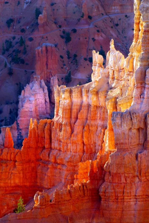 Bryce Canyon Dawn