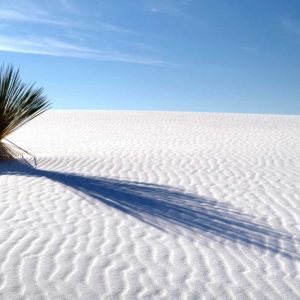 Sand Shadows I