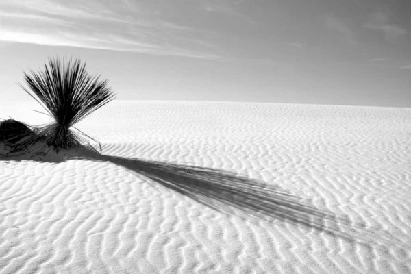 Shadows in the Sand I