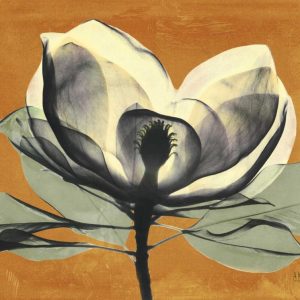 Warm Magnolia 1