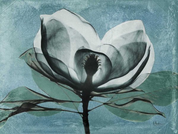 Magnolia Blues 1