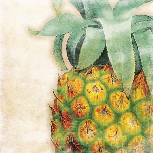 Tropical Pineapple