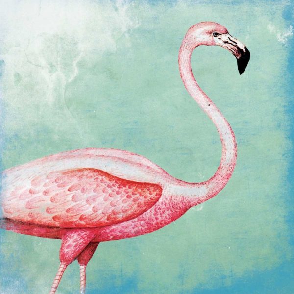 Tropical Flamingo