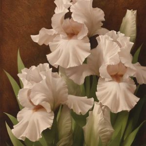 Iris Illumination II