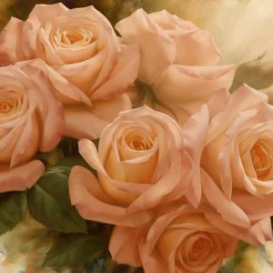 Peach Rose Splendor II