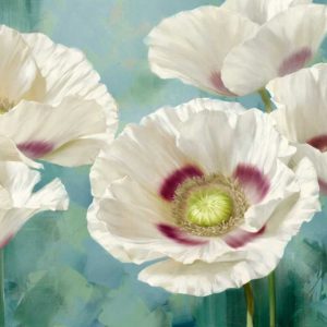 Tasmanian Poppies I