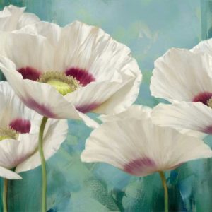 Tasmanian Poppies II