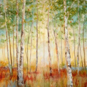 Birch Woods