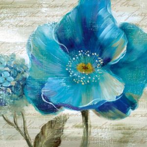 Blue Poppy Poem II