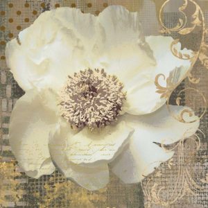 White Poppy Shimmer II