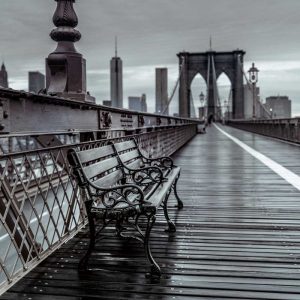 Bridge Beauty