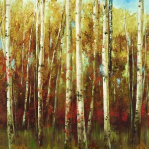 Birch Forest