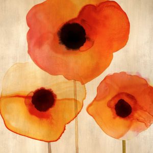 Orange Poppies I