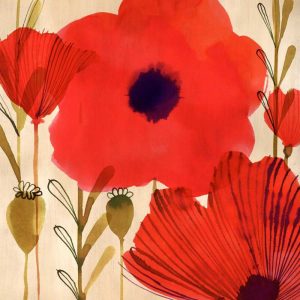 Wild Poppies I