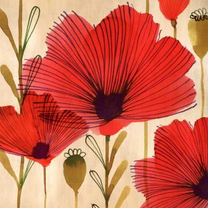 Wild Poppies II