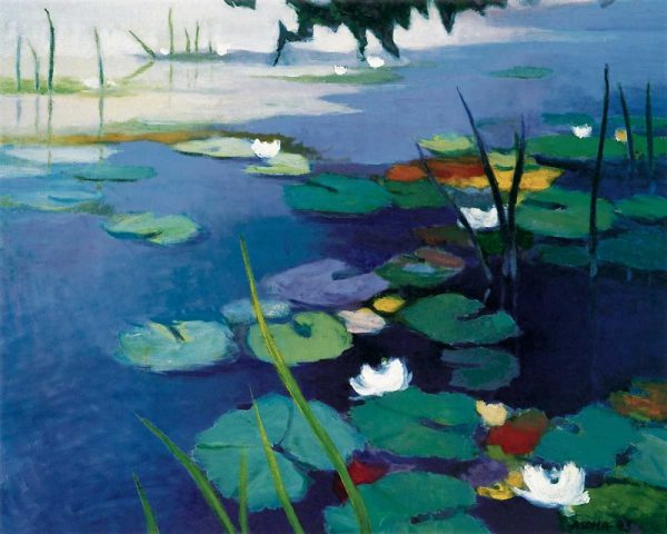 Water Lilies