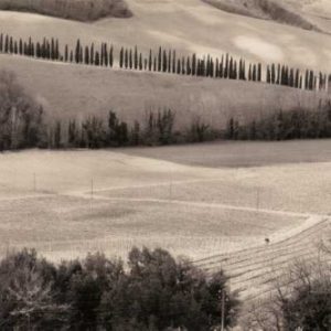 San Gimignano Italia