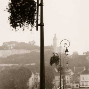 Pont de Chinon