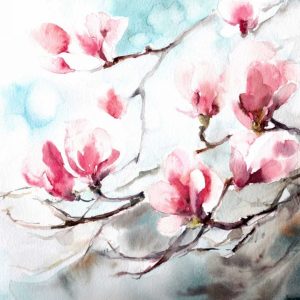 Magnolia - Spring