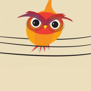 Owl on a Wire