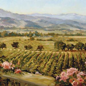 Vineyards to Vaca Mountains