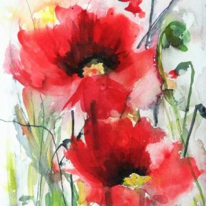 Red Poppies