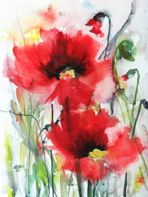 Red Poppies