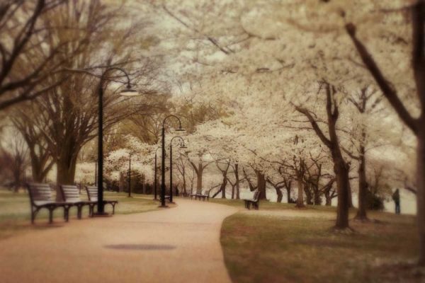 Springtime Stroll