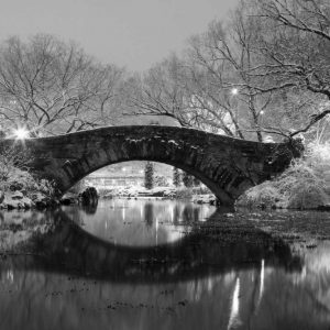 Bridge in Winter