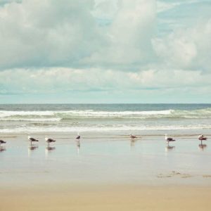 Beachcombing