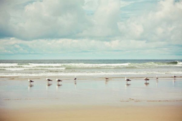 Beachcombing