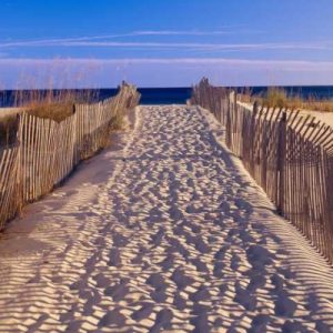 Pathway to the Beach