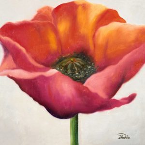 Poppy Flower I