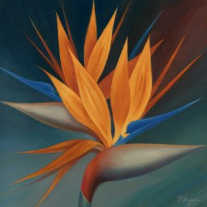 Bird of Paradise II