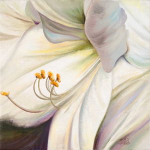 White Lily I