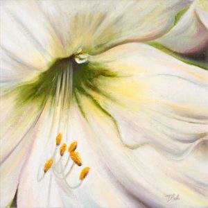 White Lily II