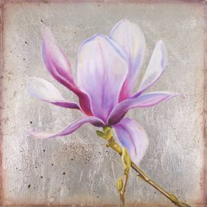 Magnolia on Silver Leaf II