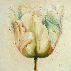 White Double Tulips I