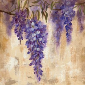 Wisteria Bloom II