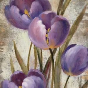 Royal Purple Tulips II