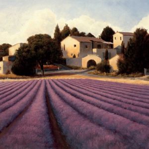 Lavender Fields I