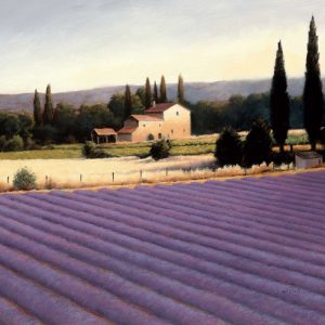 Lavender Fields II