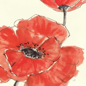 Spring Poppy II