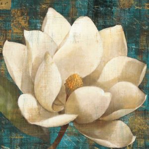 Magnolia Blossom